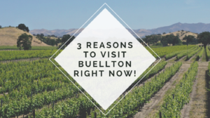 Why You Need to Visit Buellton, CA Right Now! Why You Need to Visit Buellton, CA Right Now!