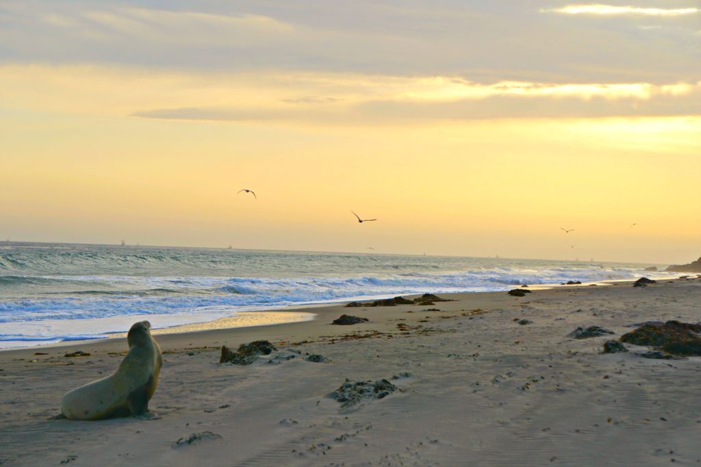 Leo Carrillo Sunset Malibu California
