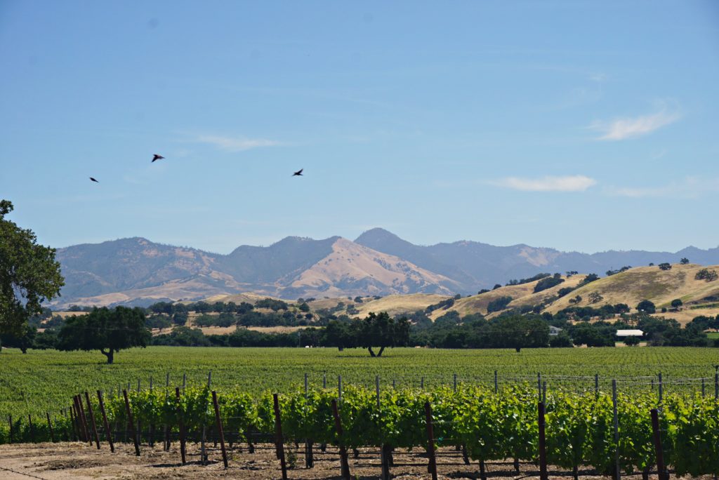 Beautiful views near Foxen Canyon Rd