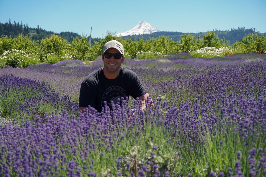 hood river fruit loop lavender fields