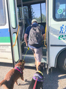 Pet friendly bus in Bar Harbor Maine