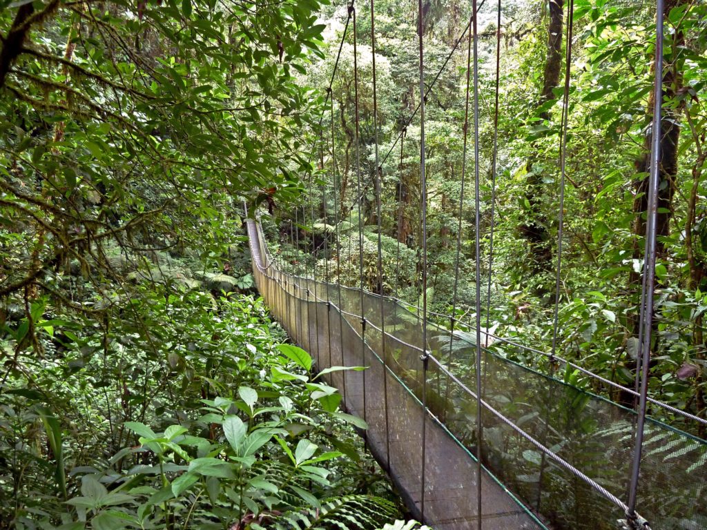 hanging bridge la fortuna waterfall