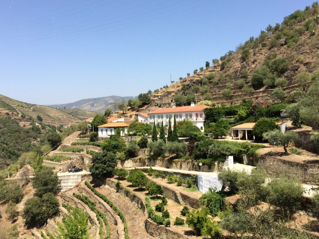 quinta-panascal in the duoro valley