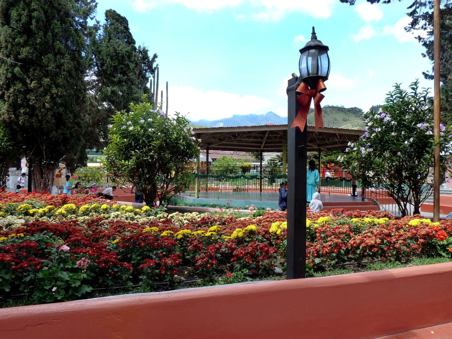 Boquete, Panama Flowers