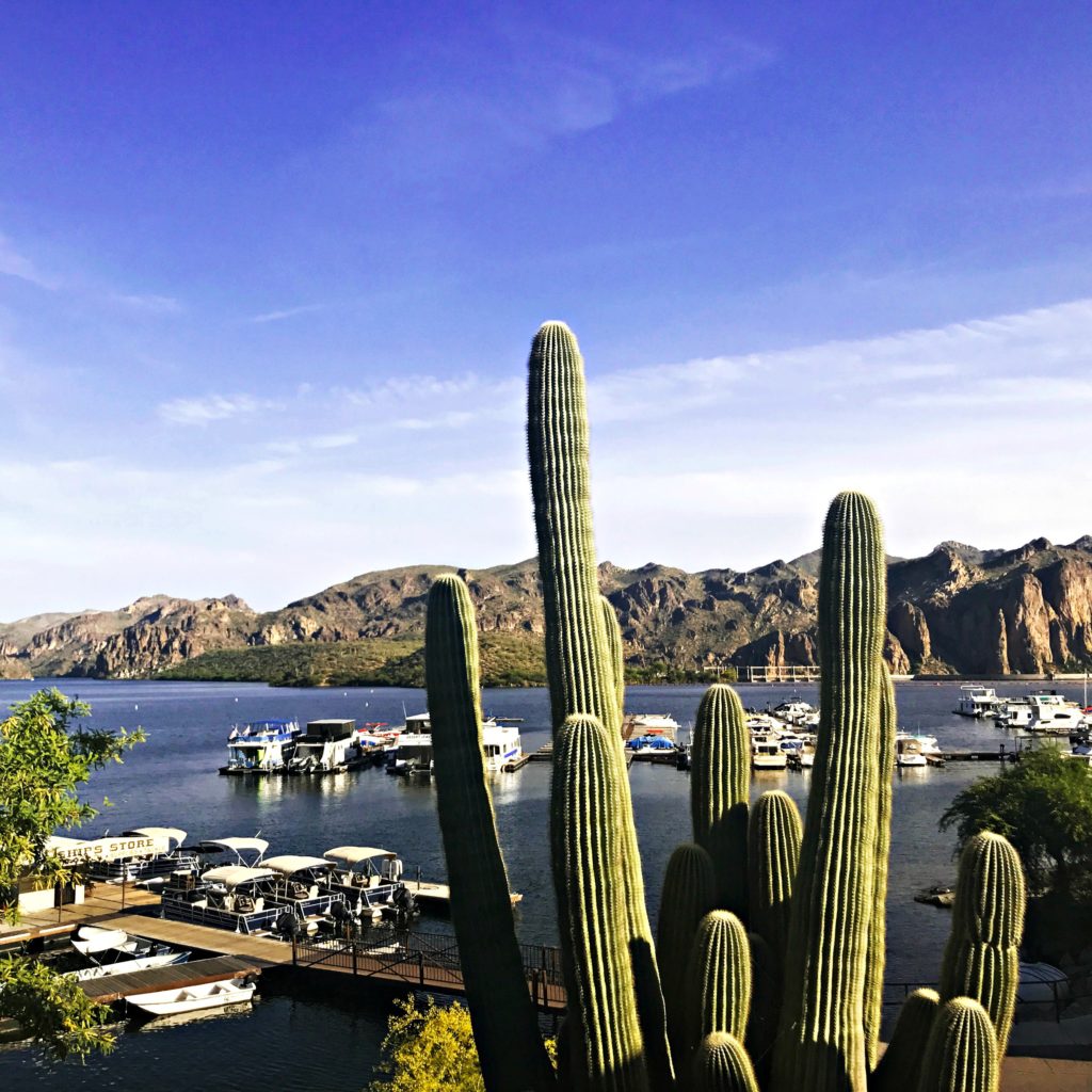 Saguaro Lake Marina