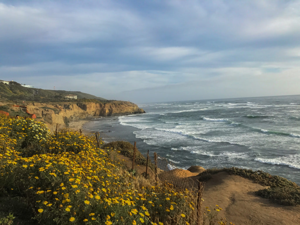 Sunset Cliffs in San Diego California