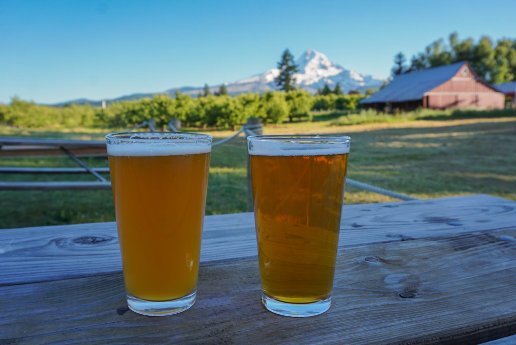 beers with a view at solera brewing company