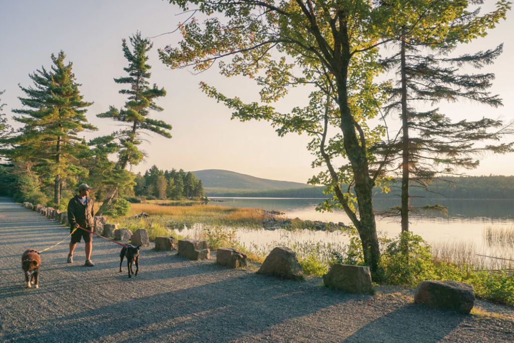 Eagle Lake Acadia National Park pet friendly Bar Harbor Maine