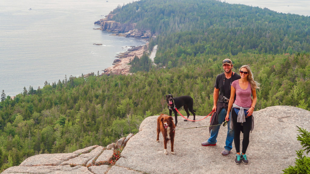 Bar Harbor pet friendly acadia national park