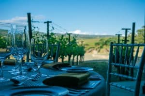 napa valley vineyard table setting