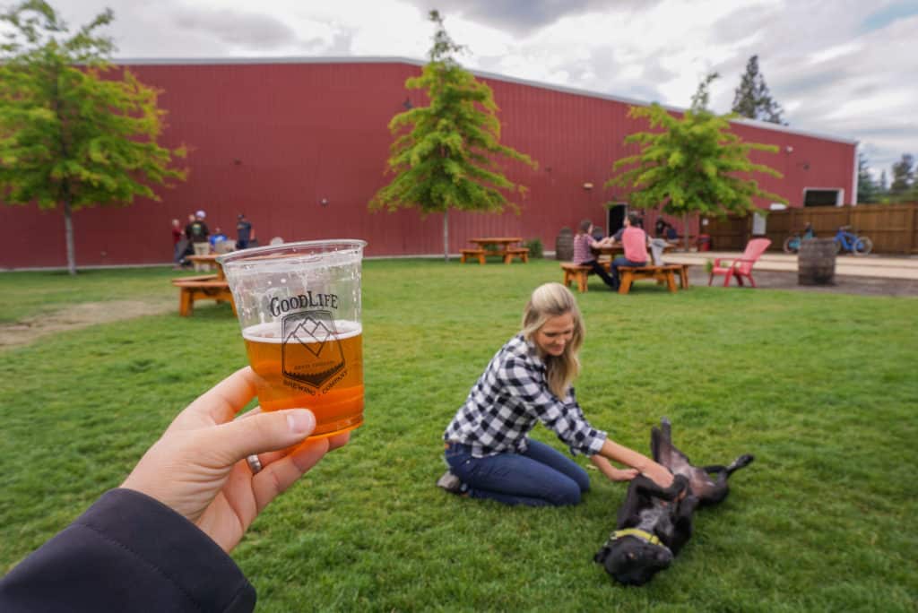 Dog getting a belly rub in the lawn at a Bend Oregon brewery