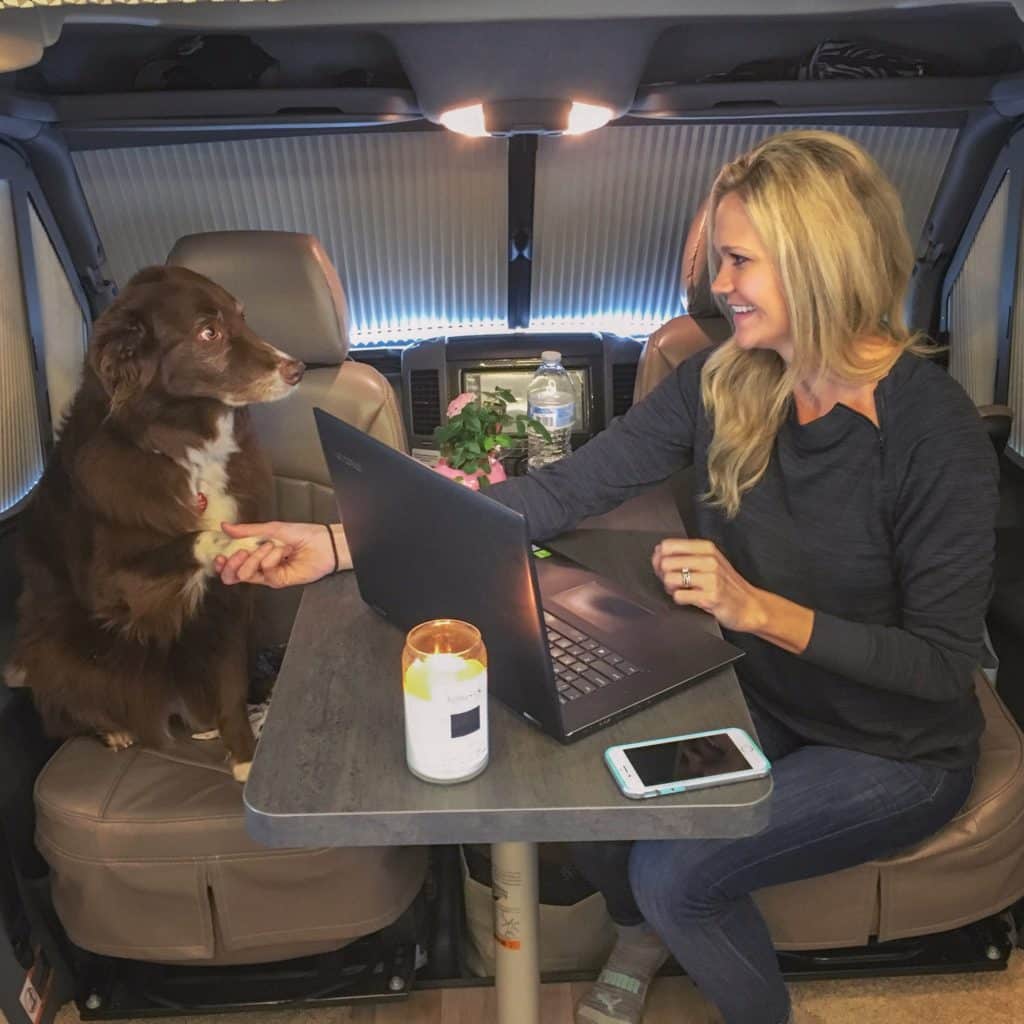 Woman and dog working with laptop shaking hands