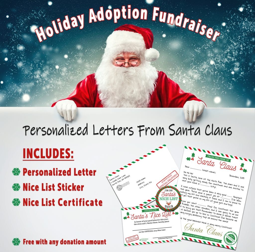 letters from santa fundraiser