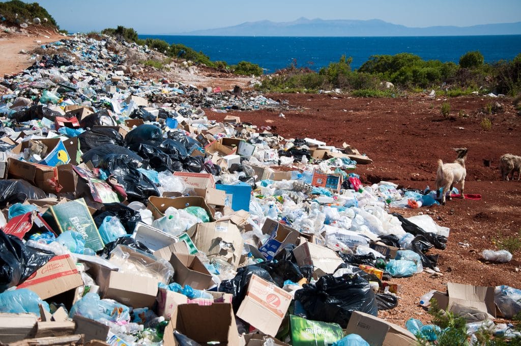 trash with forest and ocean in the background