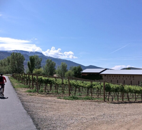 Dan riding his bike through Colorado Wine Country!