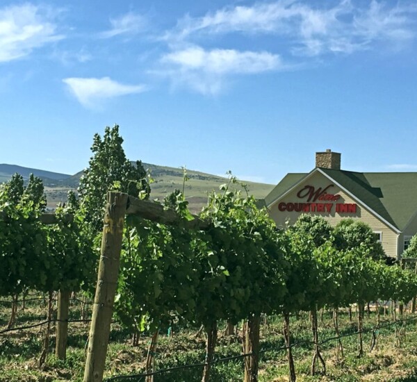 We stayed at the Wine Country Inn and it was great!