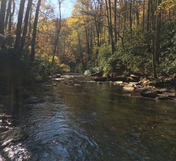 Near Looking Glass Falls.
