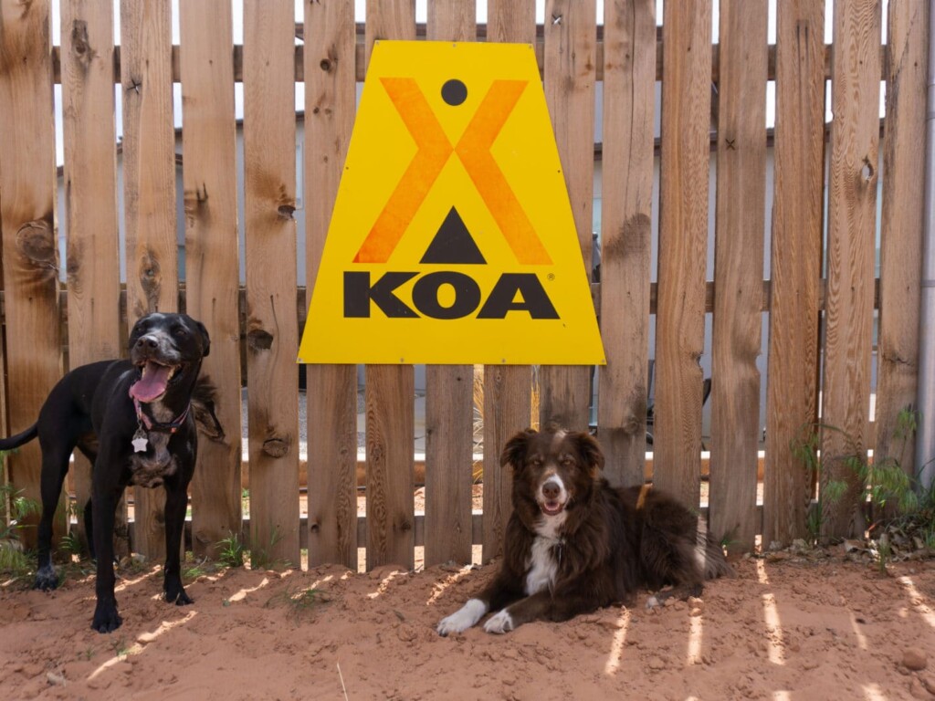 The dogs were happy kampers too! Dogs by a KOA sign